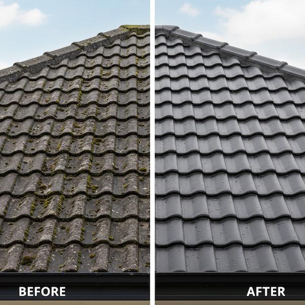 Renotec Roof Coating